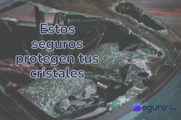 Seguro contra Rotura de Cristales