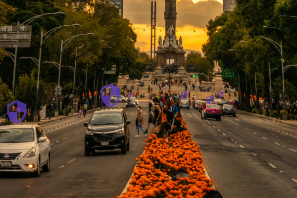 contratar seguro de auto